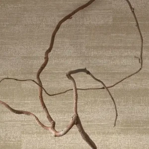 Sonderaktion Tapete Kivi Beige