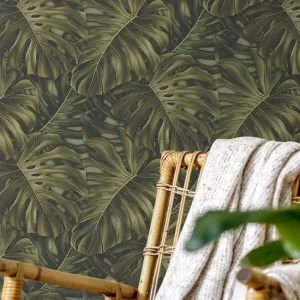 Günstig Tapete Monstera Grün