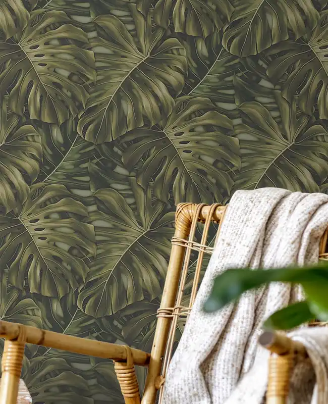 Günstig Tapete Monstera Grün