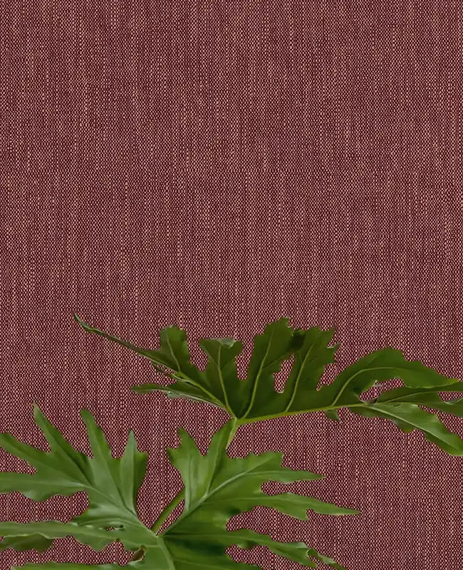 Zertifiziert Tapete Sisal Violett