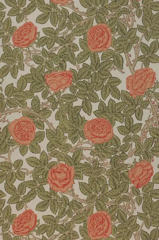 Sichere Zahlung Tapete Rambling Rose Korallenrot