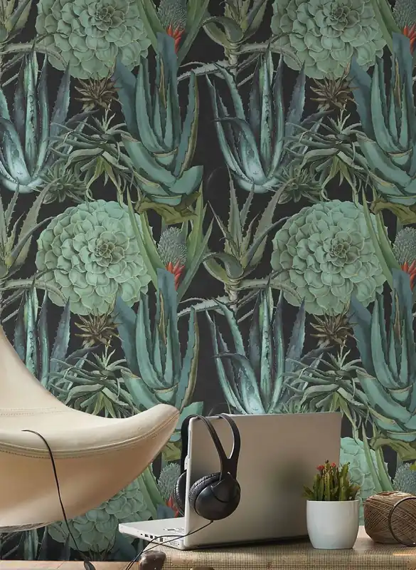 Jetzt Bestellen Wandbild Succulentus Schwarz
