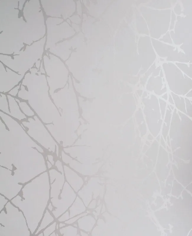Bestpreis Tapete Arbor Silver-Birch