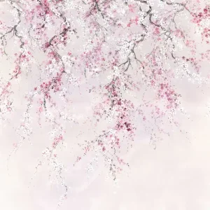 Top-Preis Fototapete Kirschblüten