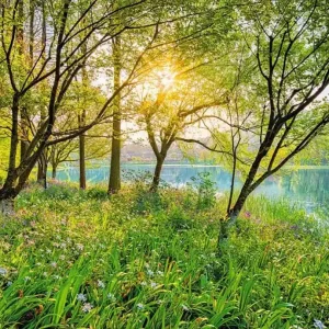 Fototapete Spring Lake Mega-Angebot