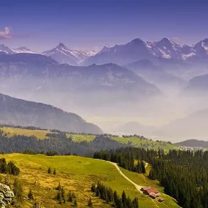 Jetzt Bestellen Fototapete Alps
