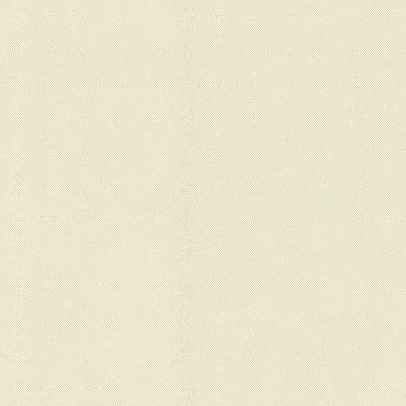 Bestpreis Rasch Selection, Unis, beige 424058