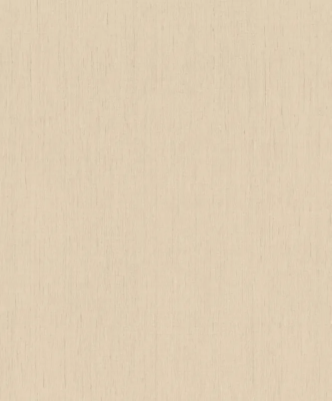 Versand Am Gleichen Tag Vliestapete 746037 Beige-Dunkelbeige Uni 10,05 m x 0,53 m