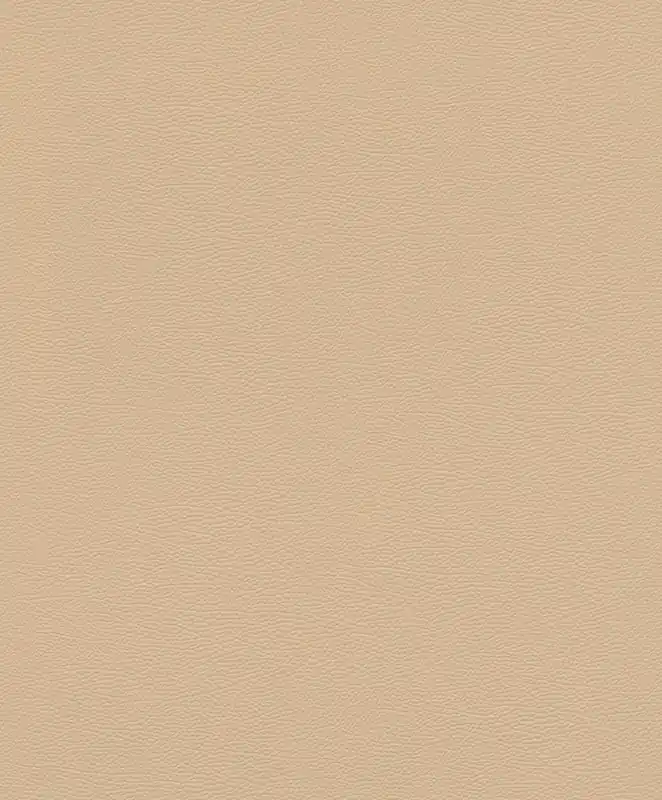 Solange Der Vorrat Reicht Vinyltapete Rasch Unis Beige-Hellbeige 752694