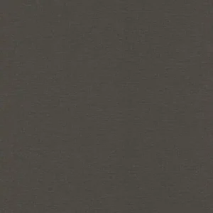Ausverkauf Vinyltapete Rasch Unis Schwarz-Anthrazit 555974