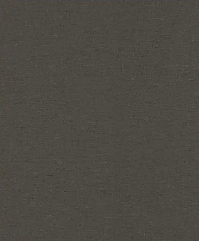 Ausverkauf Vinyltapete Rasch Unis Schwarz-Anthrazit 555974
