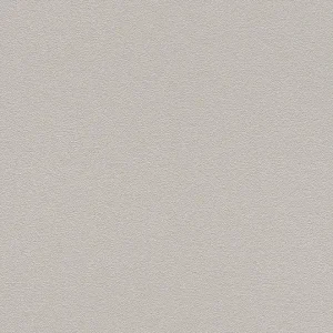 Abverkauf Rasch Selection, Unis, grau 700350