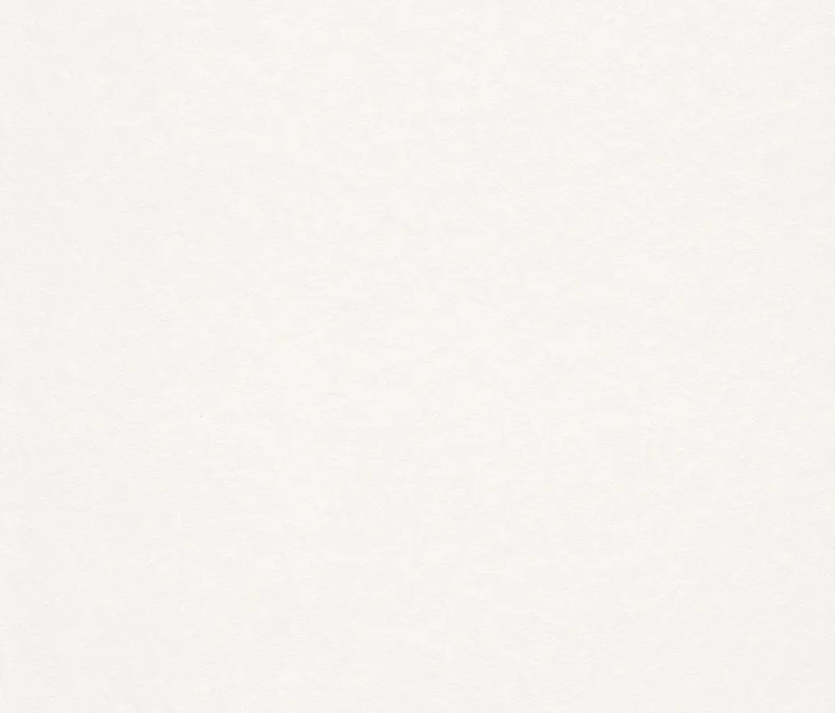 Rasch Malervlies "Creativ-Vlies" 150g – Premium Glattvlies (10,00 x 0,75 m) Geprüft