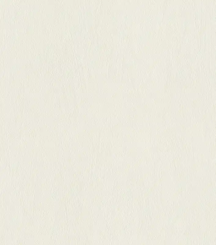 Knallerangebot Rasch Selection, Unis, weiß 540802