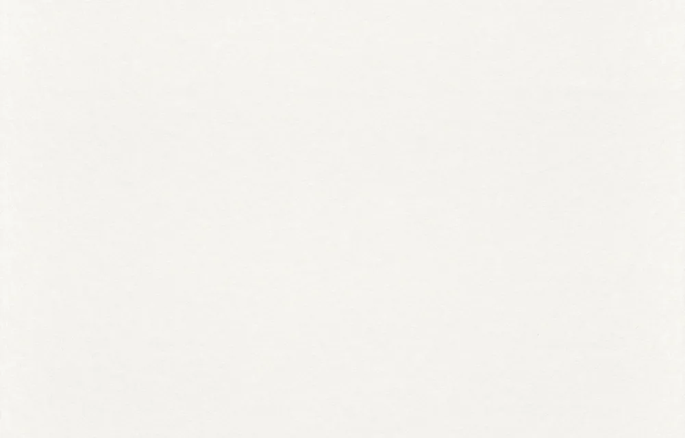 Zertifiziert Rasch Profi Malervlies 116601 – 150 g/m² für glatte Wände (50,00 m x 1,00 m)