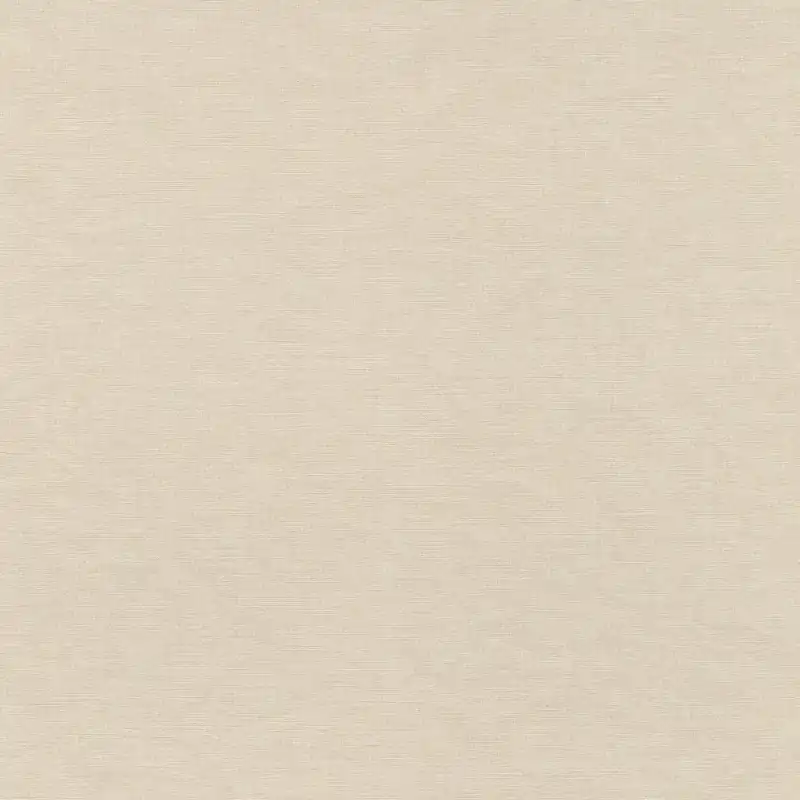 Letzte Chance Vliestapete 464016 Beige-Hellbeige Uni 10,05 m x 0,53 m
