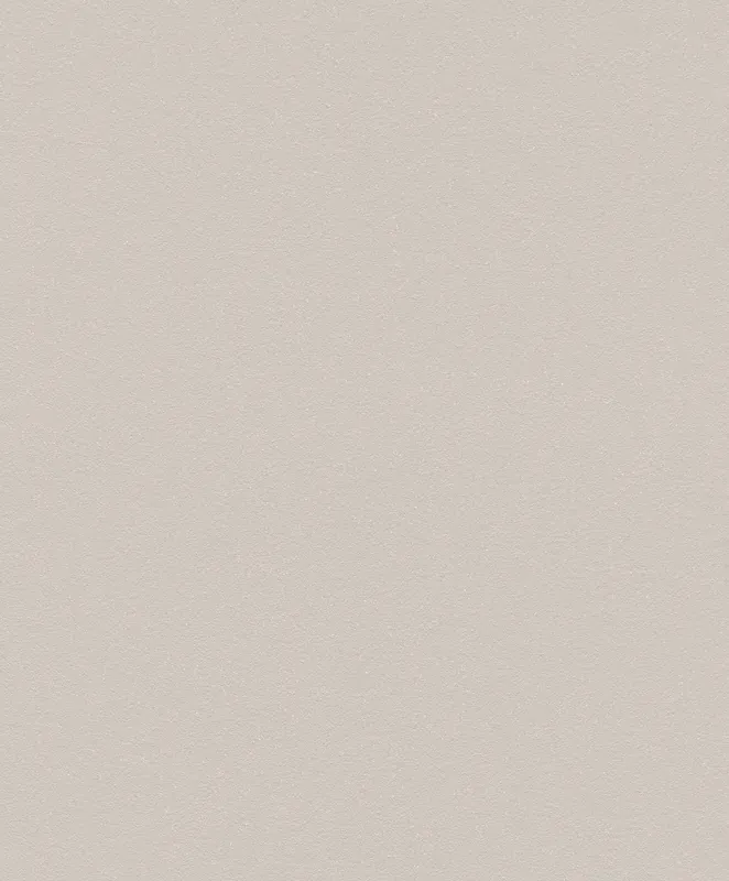 Neu Im Sortiment Vliestapete in Beige Selection Vinyl/Vlies 523188