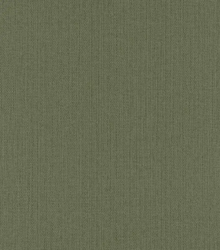 Grasgewebe Vliestapete in Oliv-Olivgrün dunkel Selection 407945 Schnäppchen