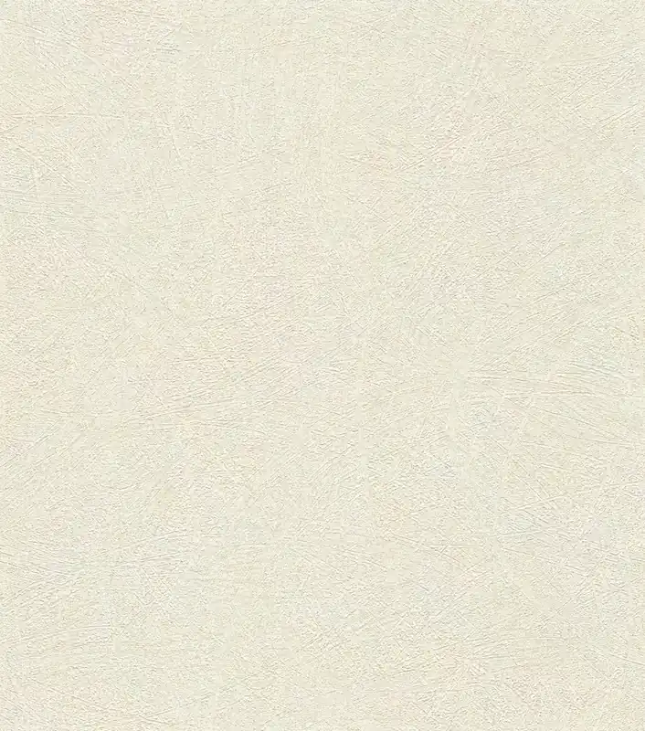 Nur Für Kurze Zeit Putzstruktur Vliestapete in Weiß-Offwhite Selection 520231