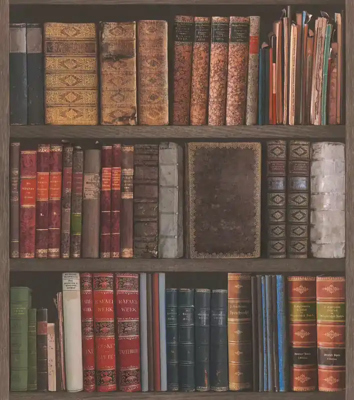 Saisonangebot Papiertapete Bücher, Bibliothek 934809