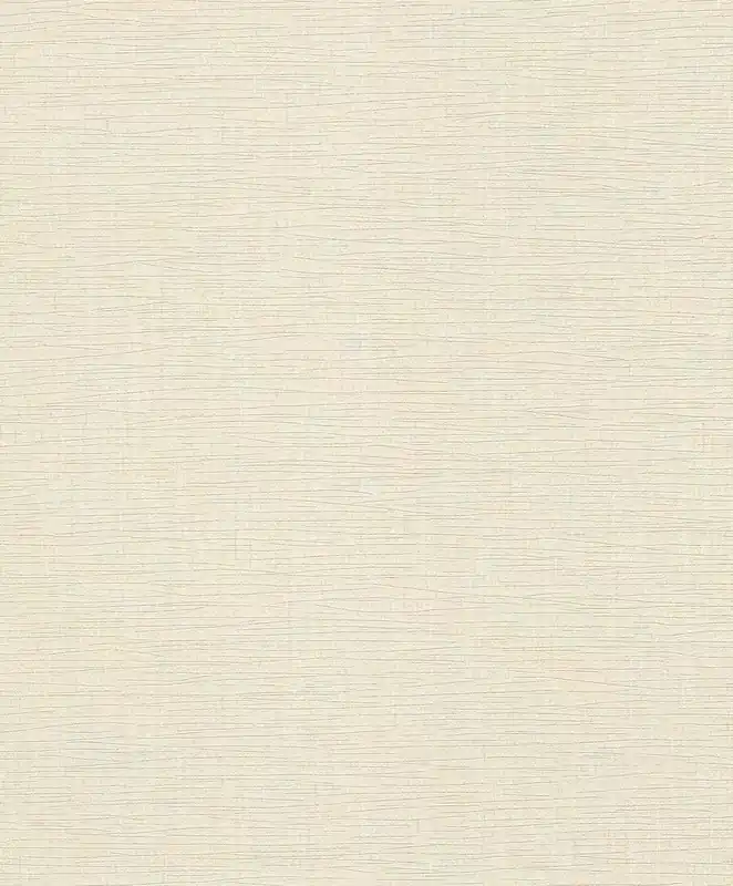 Billig Vliestapete in Beige-Hellbeige Selection Vinyl/Vlies 611953