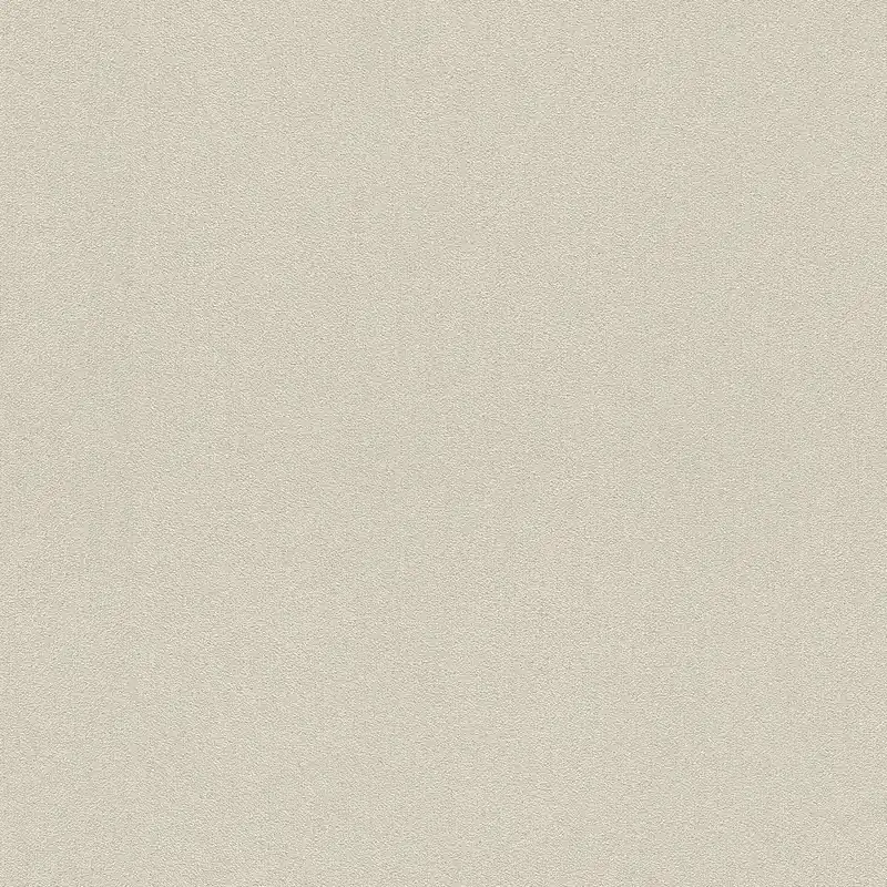 Uni Vliestapete in Grau-Hellgrau Selection 441642 Kracherpreis