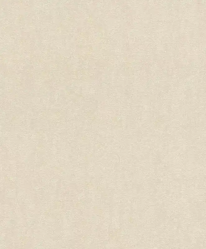 Preisreduziert Vliestapete in Beige-taupe Selection 402339