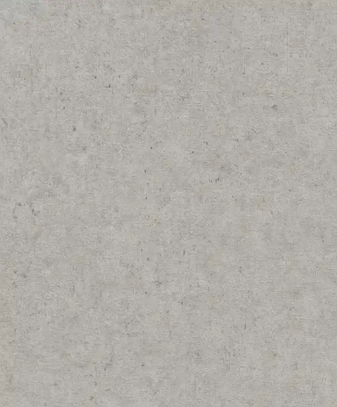 Beton Vliestapete in Grau-Mittelgrau Selection 520866 Sonderangebot