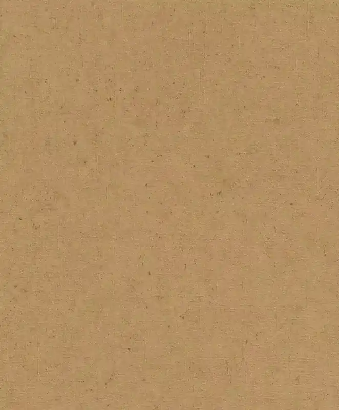 Beton Vliestapete in Braun-ockerbraun Selection 520897 Expressversand