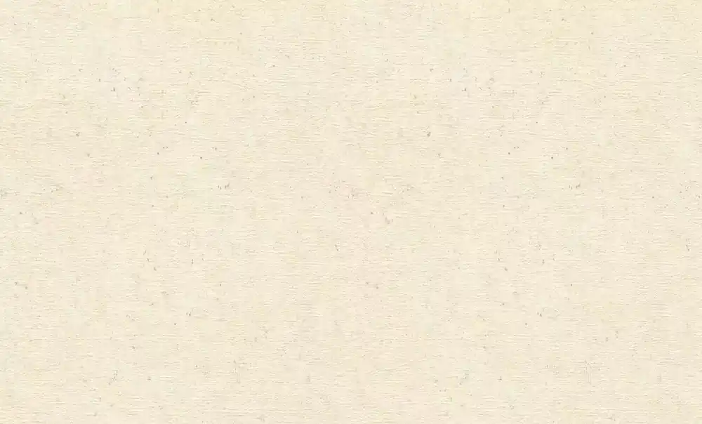 Beton Vliestapete in Beige-Greige Wall Textures XL Vol. 4 974218 Meistverkauft