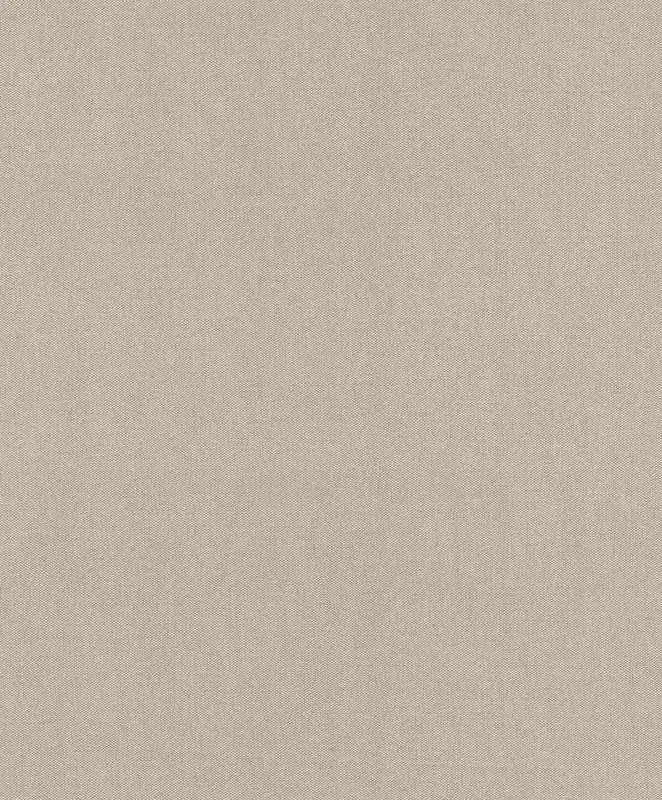 Strukturiert Vliestapete in Beige-Dunkelbeige my moments 633672 Top-Seller