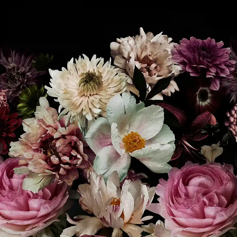 Preis Gesenkt Fototapete Blumen magicwalls 363821