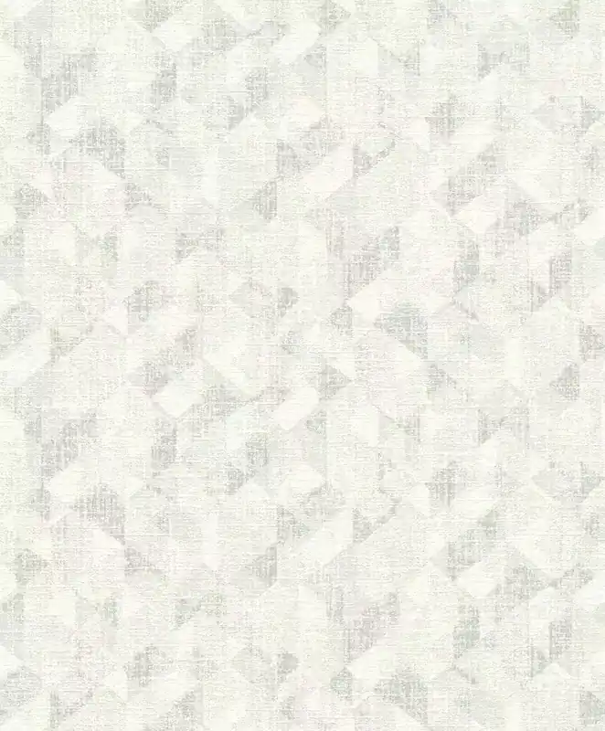 Begrenztes Angebot Grafisch Vliestapete in Grau-Hellgrau Selection 654219
