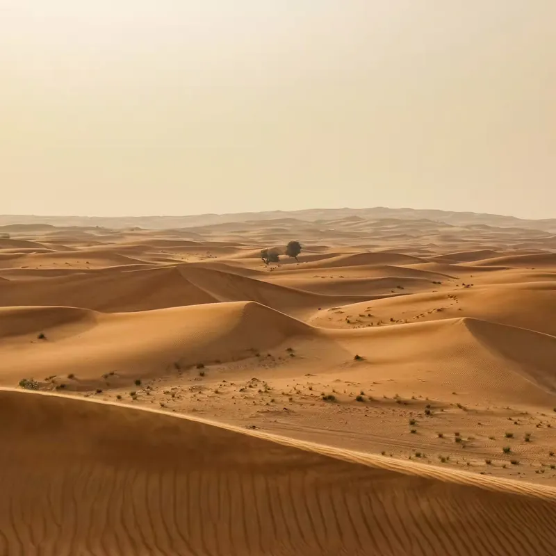 Günstig Fototapete Sahara in Beige 862430