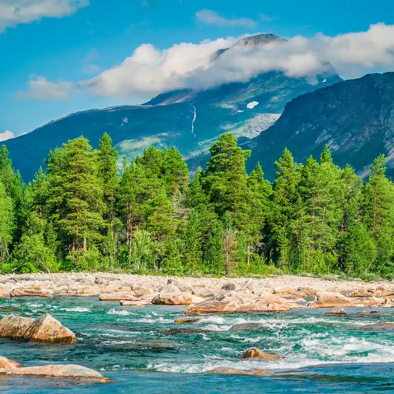 Must-Have Fototapete mit Flusslandschaft 363265
