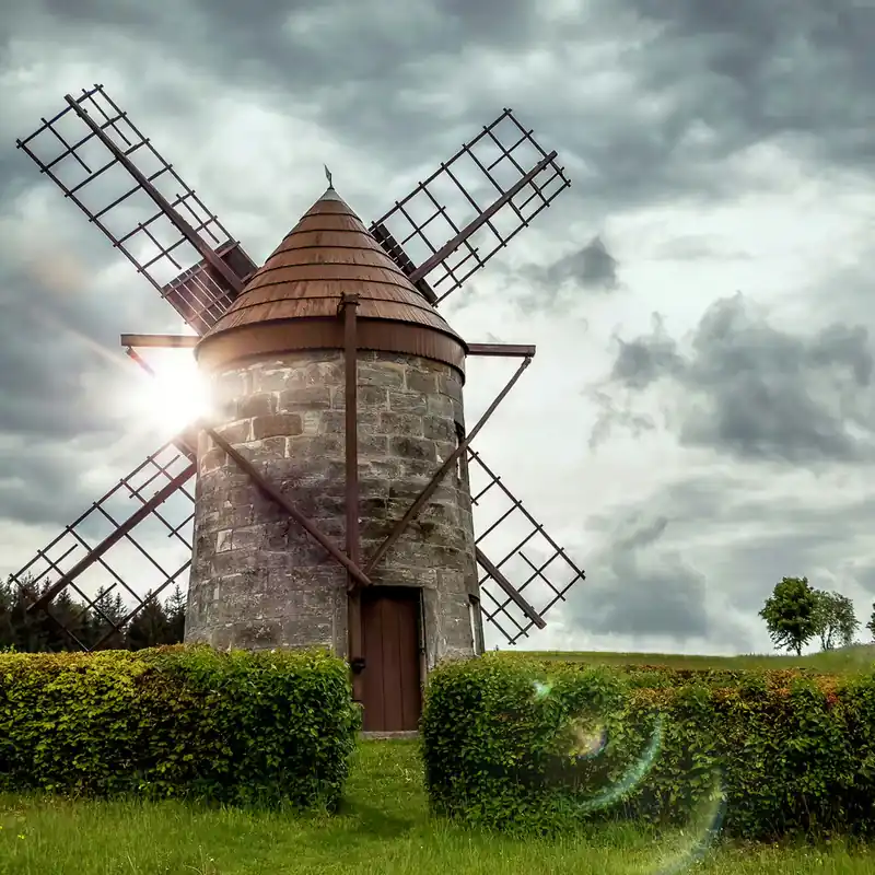 magicwalls Fototapete mit Windmühle 363463 Top-Angebot