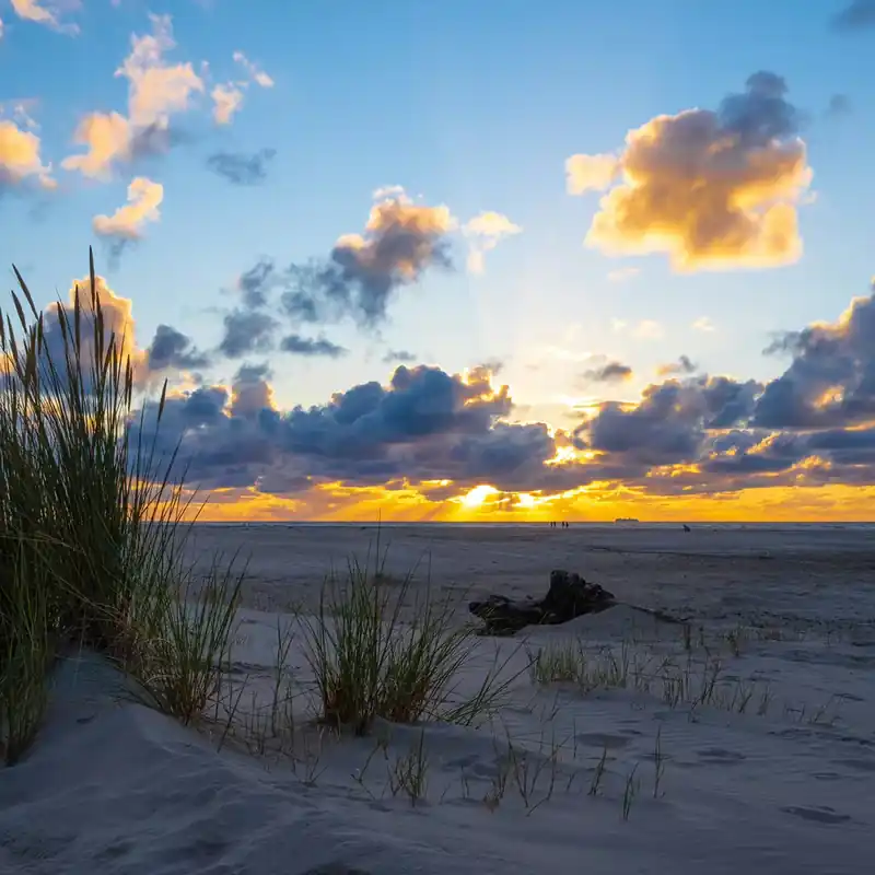 Fototapete Sonnenuntergang in den Dünen - magicwalls 364699 Jetzt Kaufen
