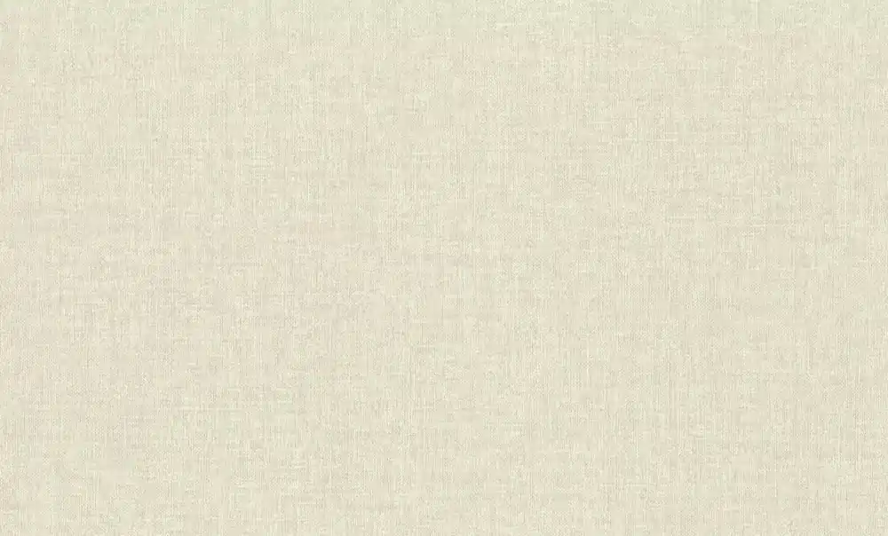 Uni Vliestapete in Beige-Greige Wall Textures XL Vol. 4 970531 Highlight