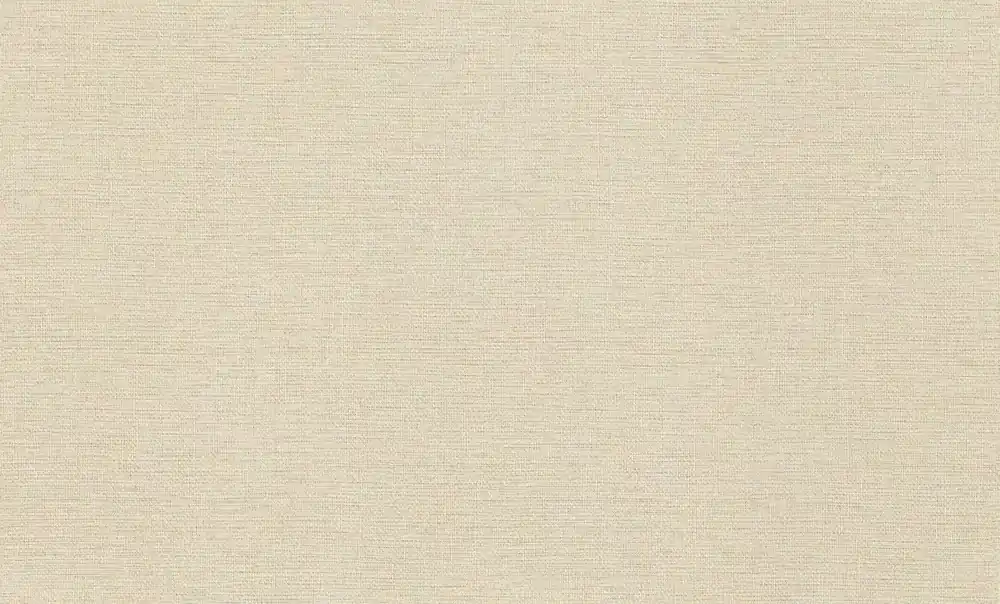 Neuheit Uni Vliestapete in Beige-Dunkelbeige Wall Textures XL Vol. 4 970609