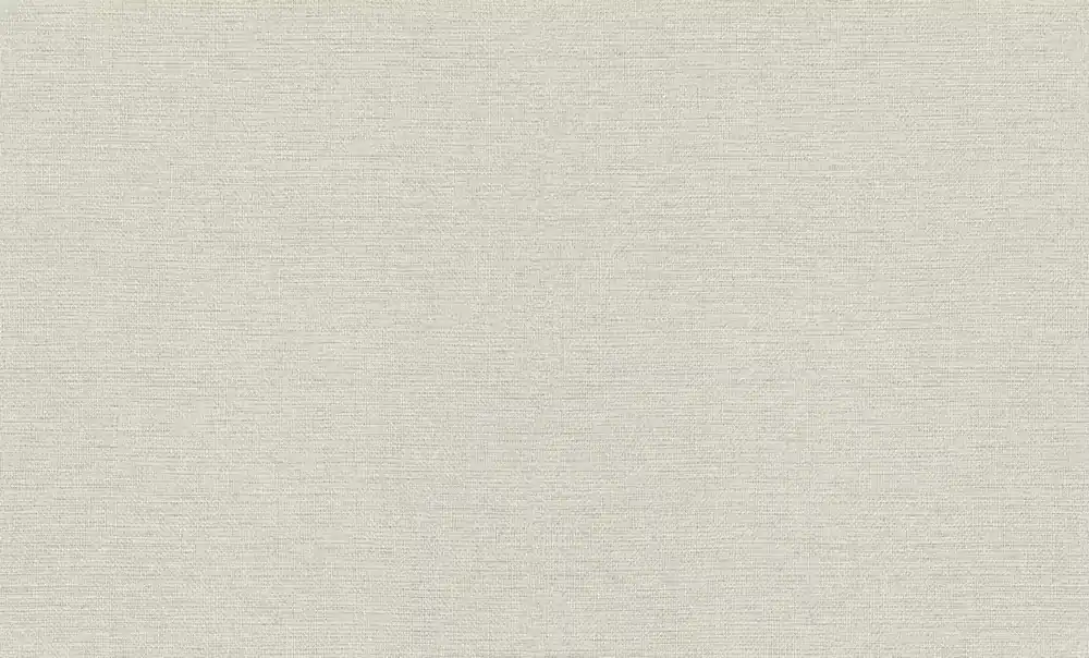 Uni Vliestapete in Grau-Hellgrau Wall Textures XL Vol. 4 970623 Heißes Angebot