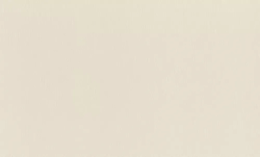 Uni Vliestapete in Beige-Beigerosa Wall Textures XL Vol. 4 979343 Kracherpreis