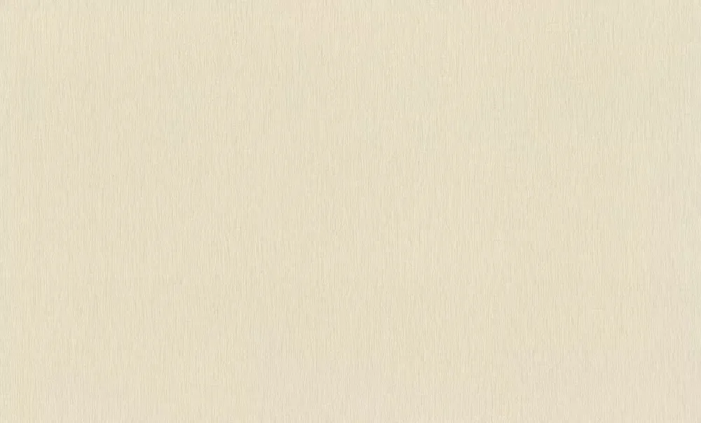 Uni Vliestapete in Creme-Creme dunkel Wall Textures XL Vol. 4 979374 Must-Have