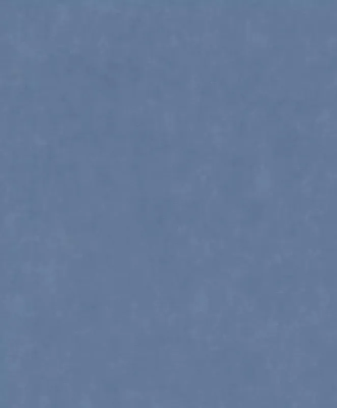 Kracherpreis Vliestapete in Blau-Taubenblau Paraíso 330090