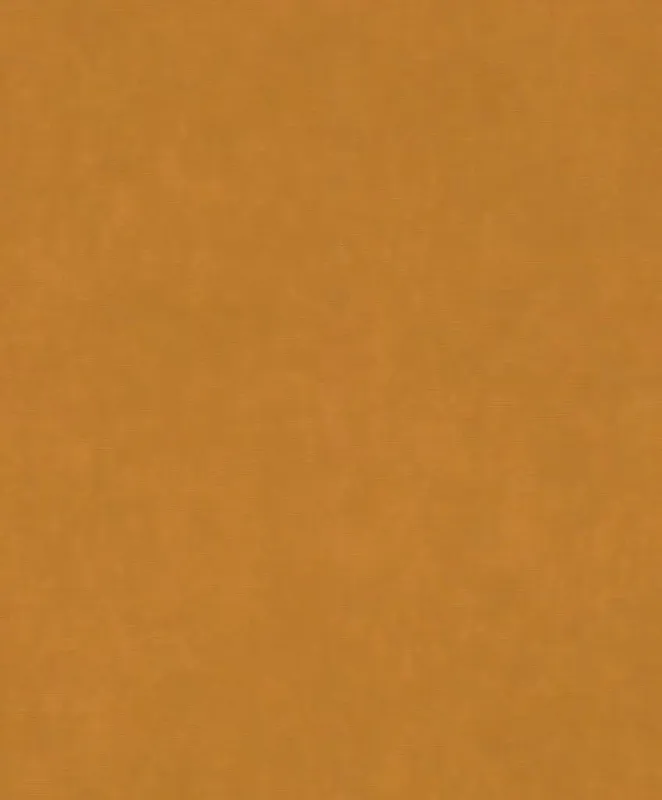 Günstig Vliestapete in Braun-Cognac Paraíso 330137