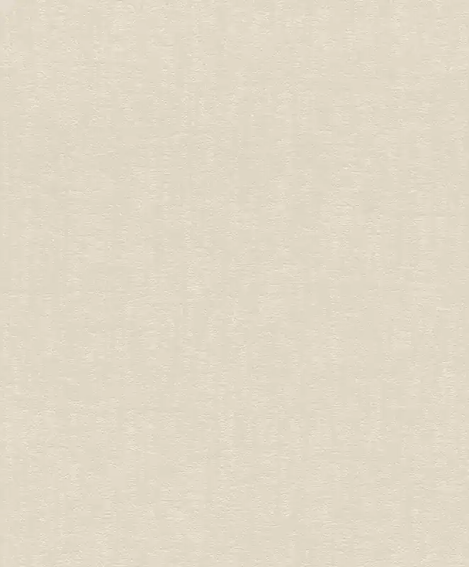 Putzstruktur Vliestapete in Beige-Hellbeige Deco Style 314618 Top-Angebot