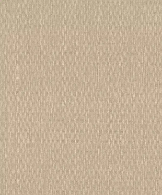 Neue Ware Uni Vliestapete in Beige-Dunkelbeige Deco Style 312416