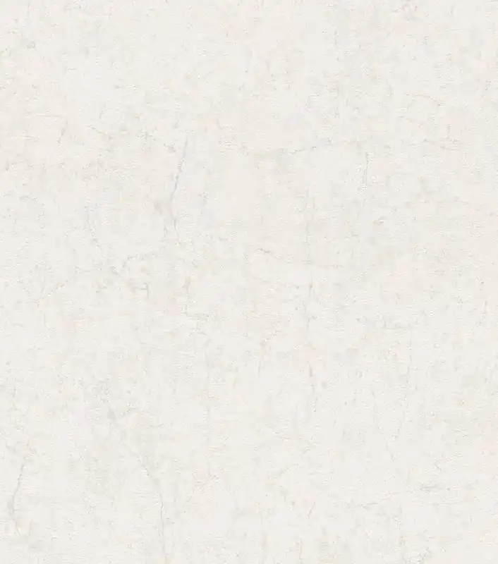 Jetzt Bestellen Tapete mit Betonoptik in Beige 285659
