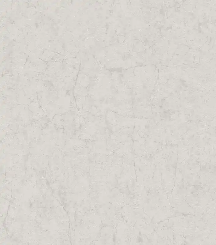 Tapete mit Betonoptik in Grau 285666 Finale Aktion
