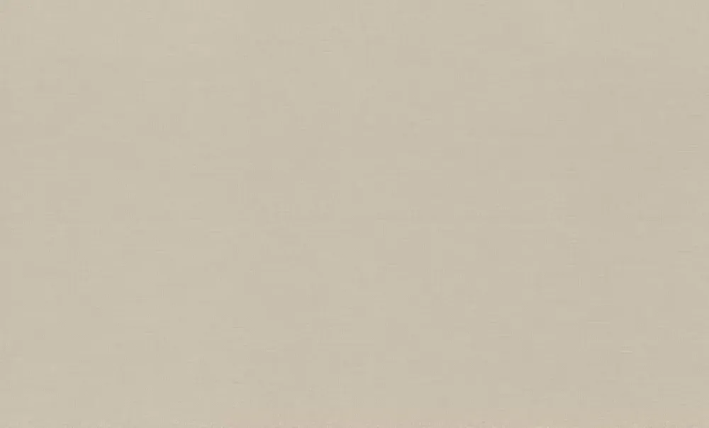 Nur Heute Vliestapete in Braun Wall Textures XL Vol. 4 971330