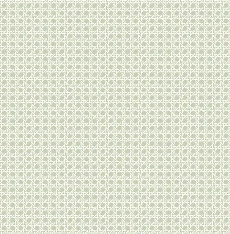 Top-Angebot Geometrische Tapeten Cane